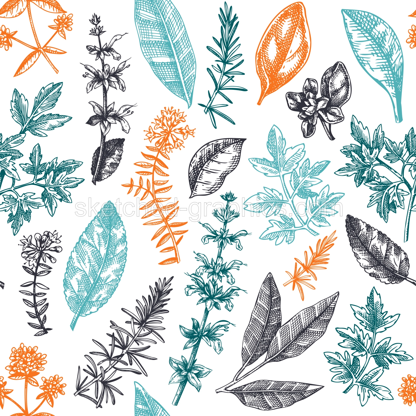Vector background with typical herbs and spices leaves. Hand-sketched kitchen herbal plants for Italian cuisine seamless pattern. Aromatic food cooking ingredients backdrop. Hand drawn herbs design Illustration